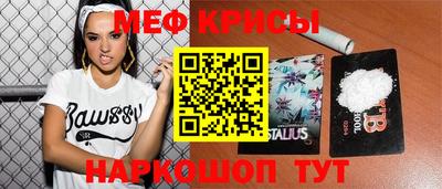 индика Славгород