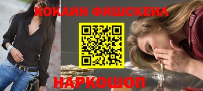 индика Славгород