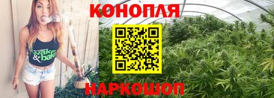 индика Славгород