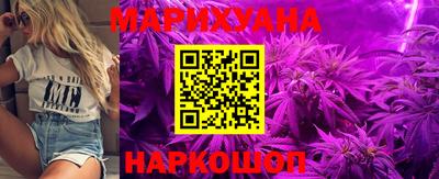 индика Славгород